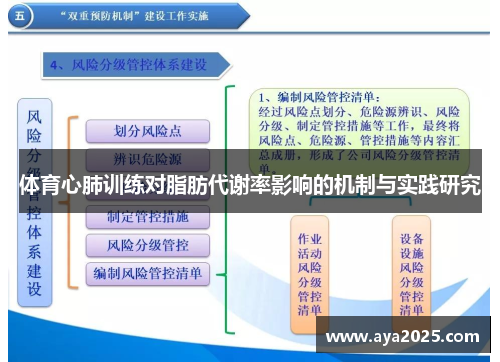 体育心肺训练对脂肪代谢率影响的机制与实践研究